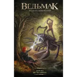 Ведьмак. Дорога без возврата