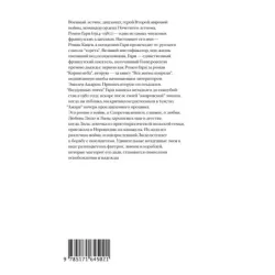 Воздушные змеи