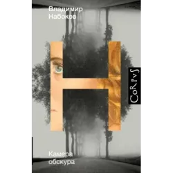 Камера обскура