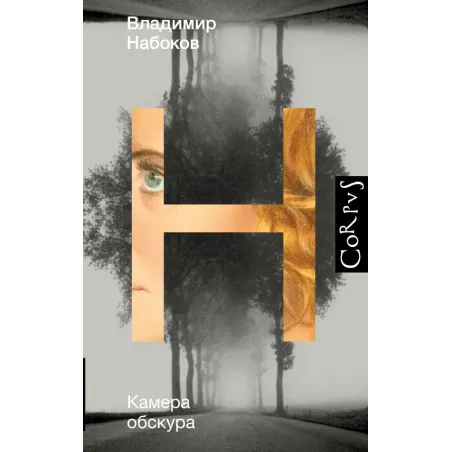 Камера обскура