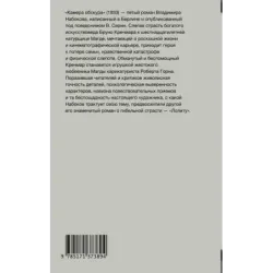 Камера обскура