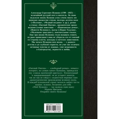 Евгений Онегин. Драмы