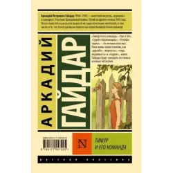 Тимур и его команда