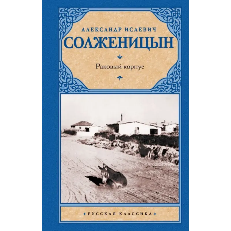 Раковый корпус