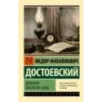 Дневник писателя (1876)