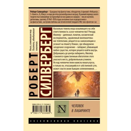 Человек в лабиринте