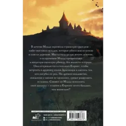 Воин забвения. Гранитный чертог