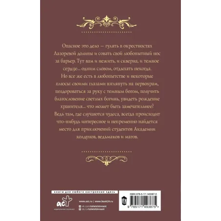 Трое из академии. Трое в долине