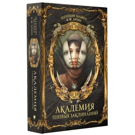 Академия теневых заклинаний