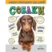 Собаки. Полное руководство для детей Собаки. Полное руководство для детей