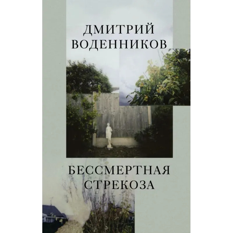 Бессмертная стрекоза