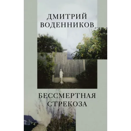 Бессмертная стрекоза