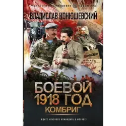 Боевой 1918 год. Комбриг