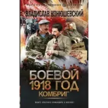 Боевой 1918 год. Комбриг