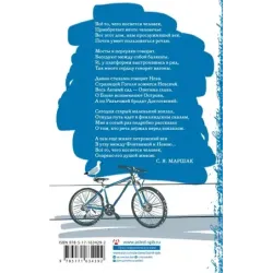 Платье цвета белой ночи. Петербург в русской поэзии