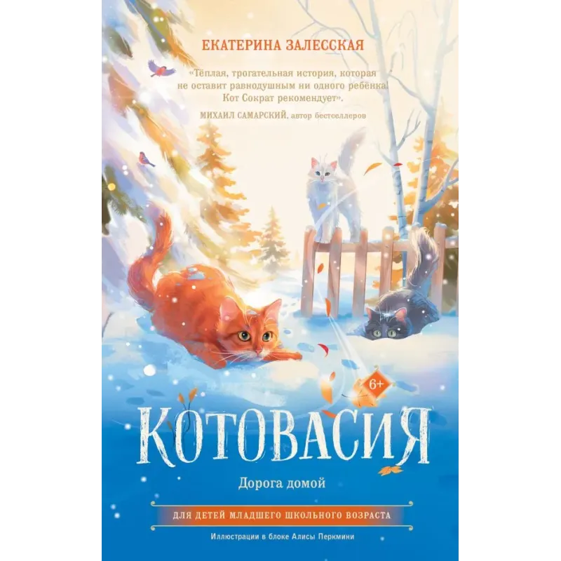 Котовасия. Дорога домой Котовасия. Дорога домой