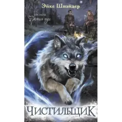 Чистильщик