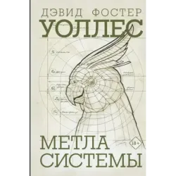 Метла системы