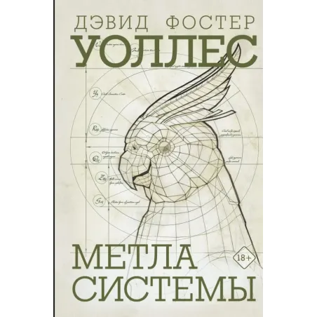 Метла системы