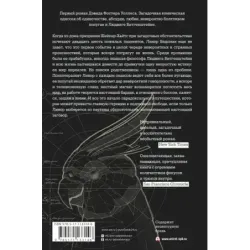 Метла системы