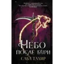 Небо после бури