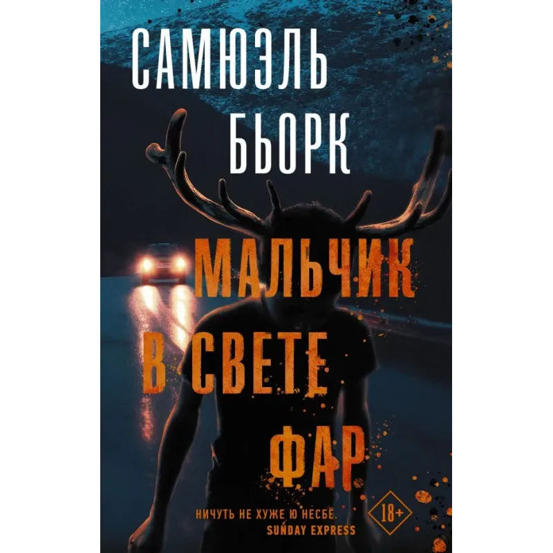 Мальчик в свете фар