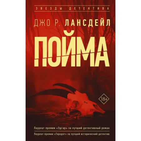 Пойма