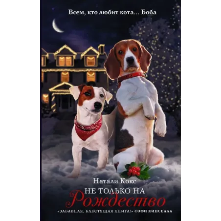 Не только на Рождество