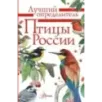 Птицы России