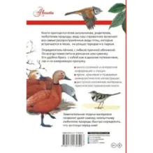 Птицы России