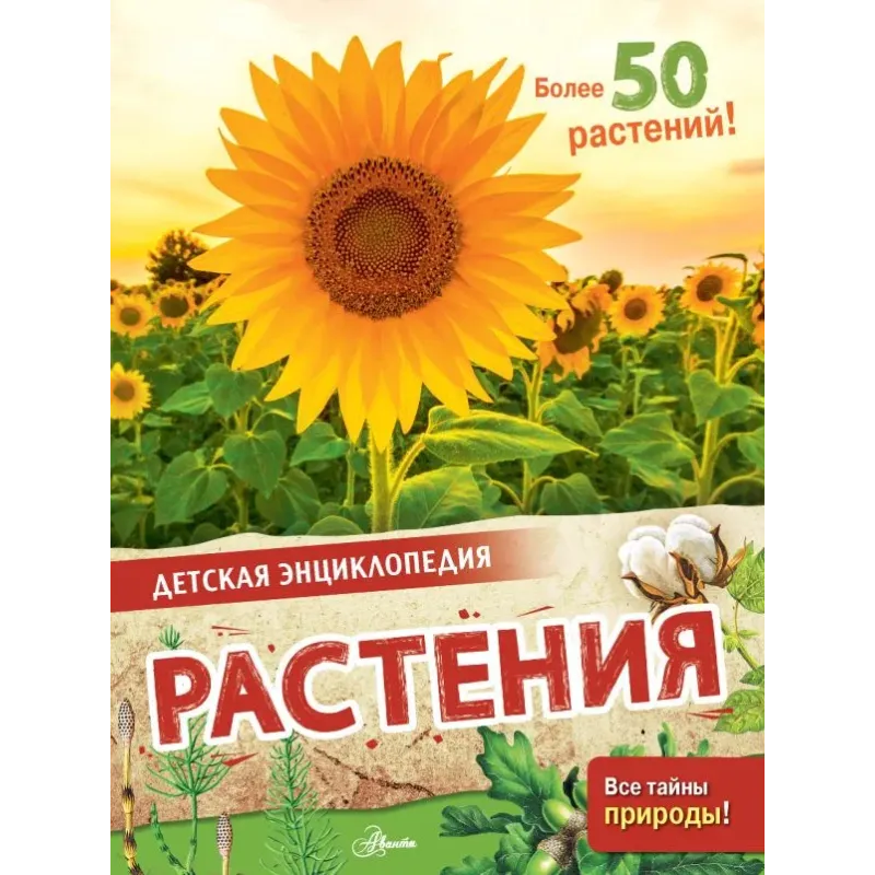 Растения Растения