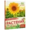 Растения Растения