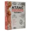 Атлас анатомии и физиологии человека. Учебное пособие для студентов учреждений среднего профессионального образования