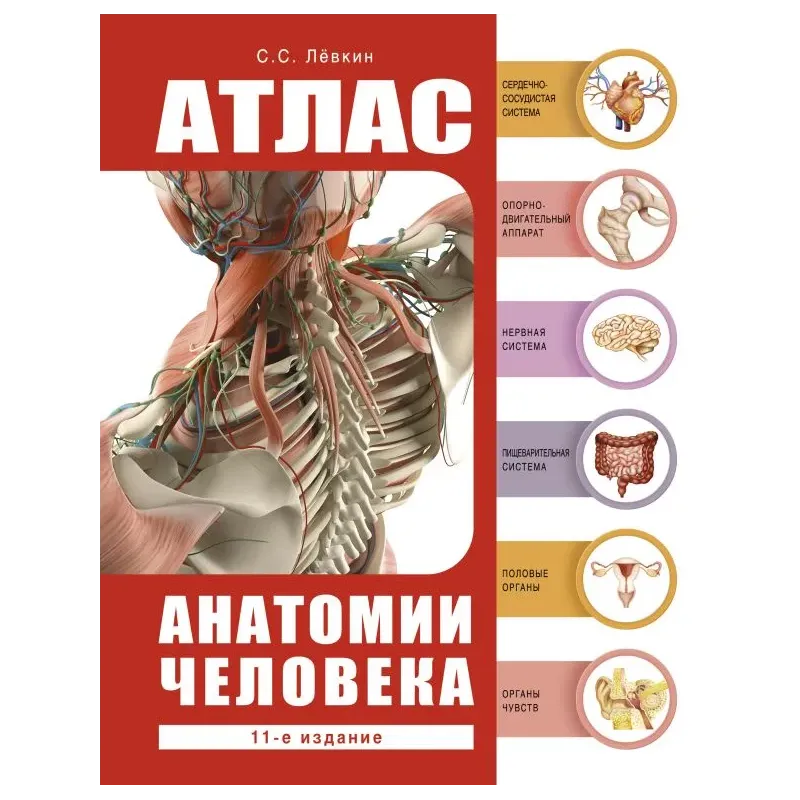 Атлас анатомии человека