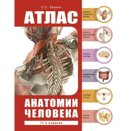 Атлас анатомии человека