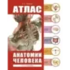 Атлас анатомии человека