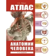 Атлас анатомии человека