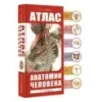 Атлас анатомии человека