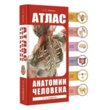 Атлас анатомии человека