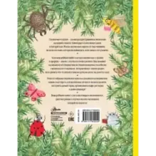 Город насекомых