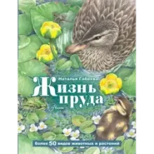 Жизнь пруда