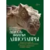 Здесь жили динозавры