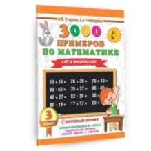3000 примеров по математике. 3 класс. Счет в пределах 100