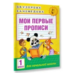 Мои первые прописи. 1 класс