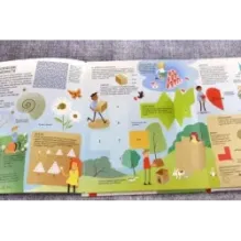 Математика. От таблицы умножения до теории вероятностей