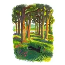 Лиса в ночи