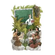 Чёрно-бурая лиса