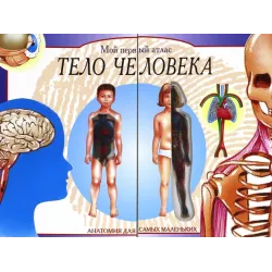 Тело человека. Мой первый атлас