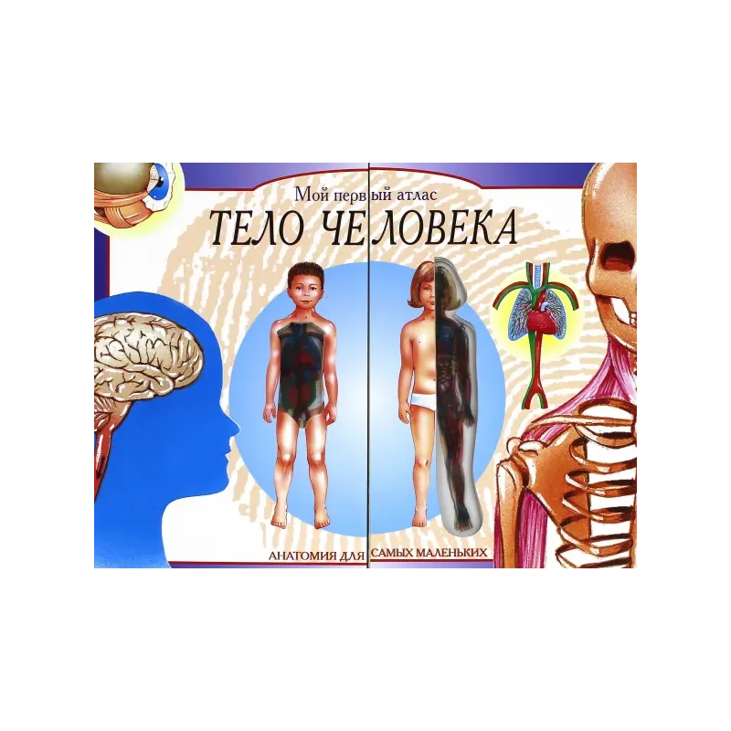 Тело человека. Мой первый атлас