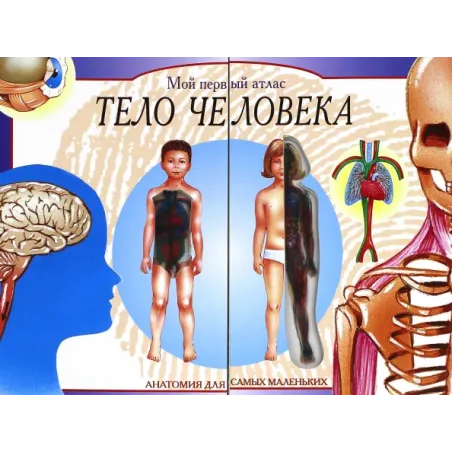 Тело человека. Мой первый атлас